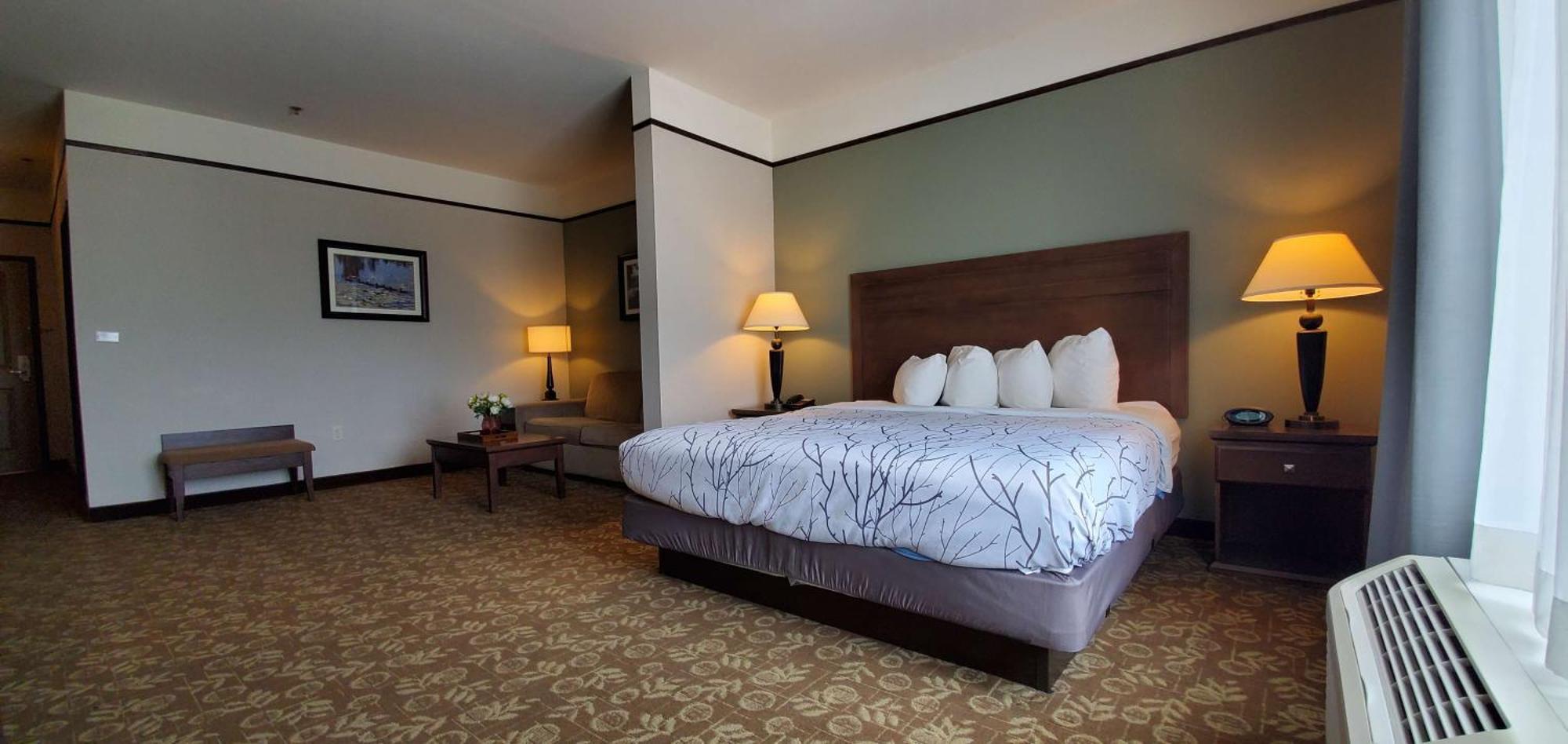Best Western Plus Emory At Lake Fork Inn & Suites מראה חיצוני תמונה